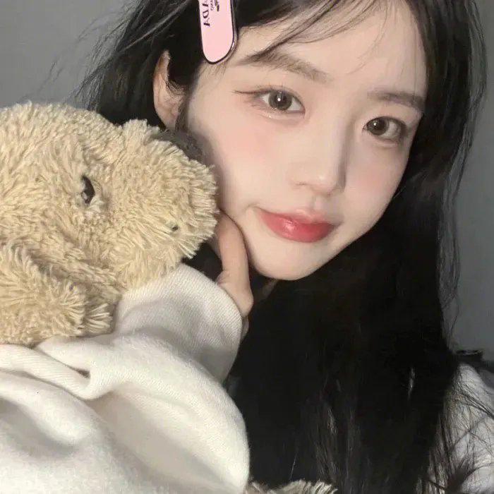 远去的飞鹰