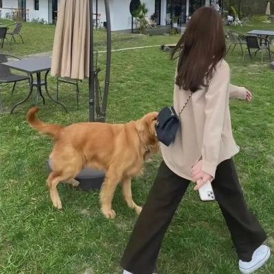 闪闪发光的你
